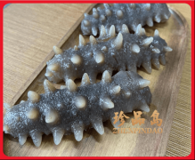 具有大型冻干(FD)食物出产线、超音速风流破坏设